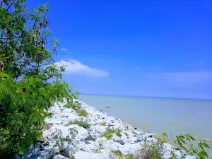 Pantai Sungai Lang
