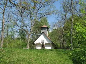 Festivalul Naţional "Ponoare