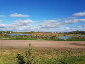Todber Manor Fisheries