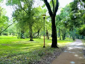 Salud Park