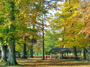 Orr Park