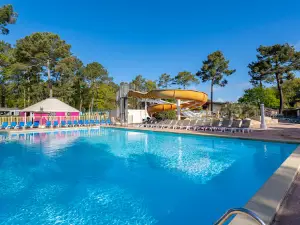 Camping Sandaya L'Orée du Bois