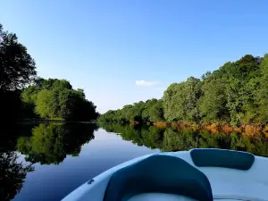 Black Warrior River