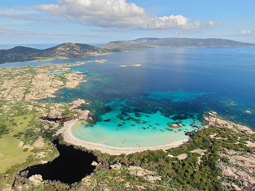 AMATO ESCURSIONI ASINARA