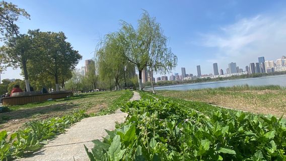 Dongta Lake Wetland Park