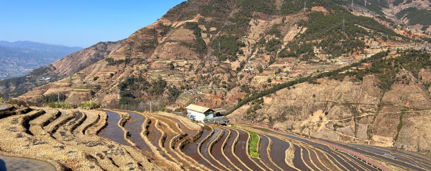 Miyi Lisu Terraced Fields Scenic Area