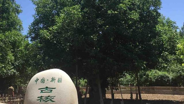 Walnut King Scenic Area