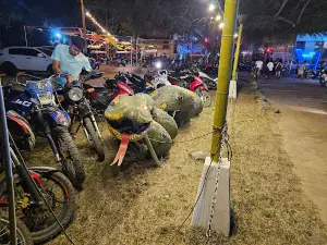 Anaconda Discoteca