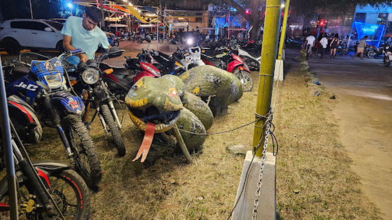 Anaconda Discoteca