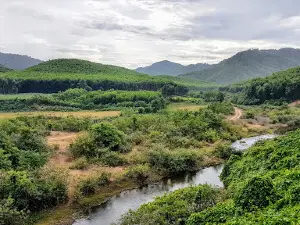 Monkey Bridge - Cuong Rung Farm