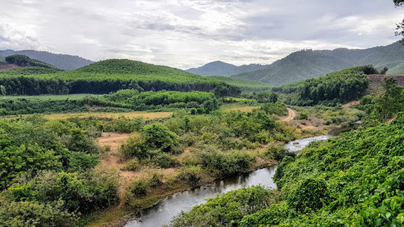 Monkey Bridge - Cuong Rung Farm
