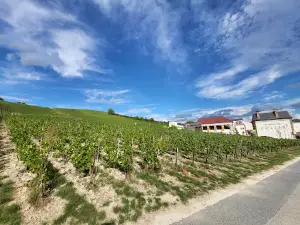 Pressoria - Voyage sensoriel au coeur du Champagne