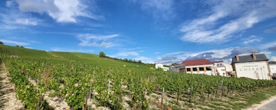 Pressoria - Voyage sensoriel au coeur du Champagne