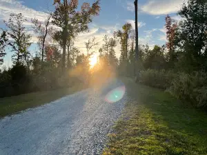Torreya State Park Loop Parking Lot