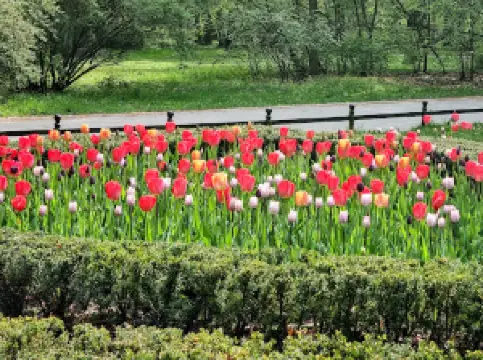 Popular Spring Outings in Wroclaw