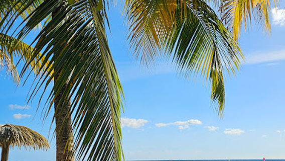 Martinique