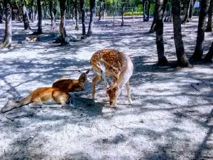 Haskovo Zoo