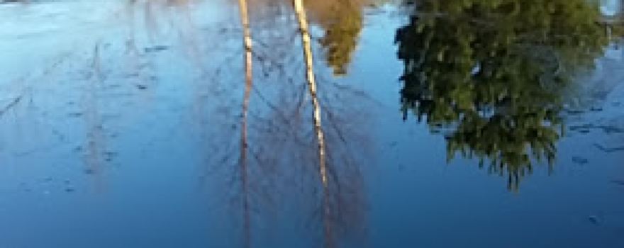 Torne Bank Fishery