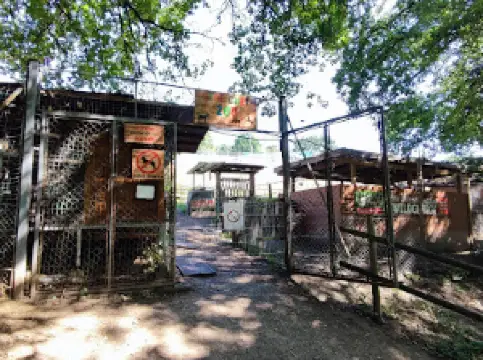 Wildgehege Rotenburg/Fulda