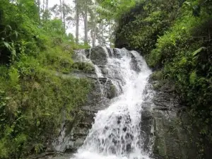 Curug Wanasuta
