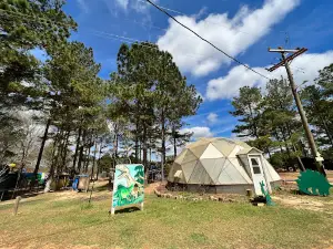 Dinosaur Adventure Land