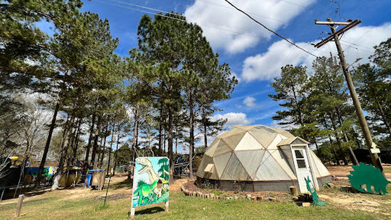 Dinosaur Adventure Land