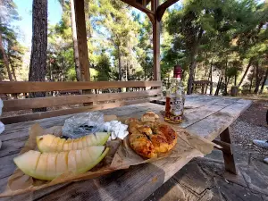 Hisar Pine Grove Nature Park