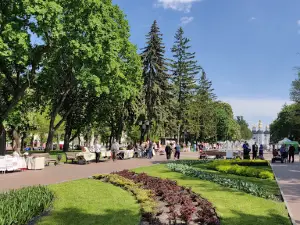 Popudrenka Garden Square