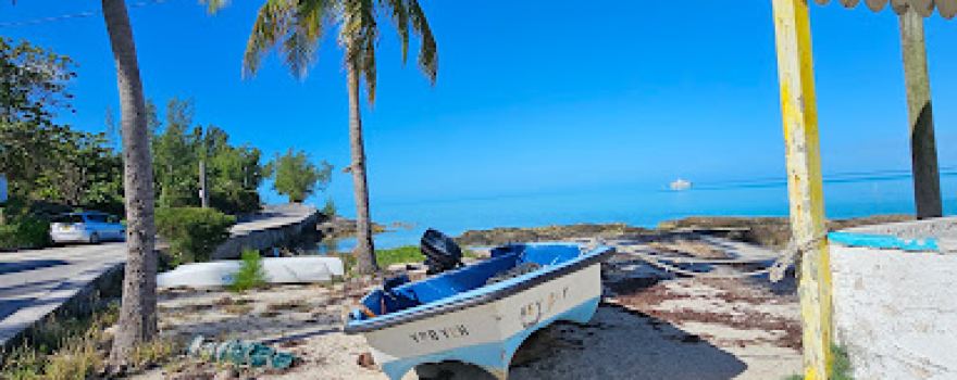 Tarpum Bay Beach Swing