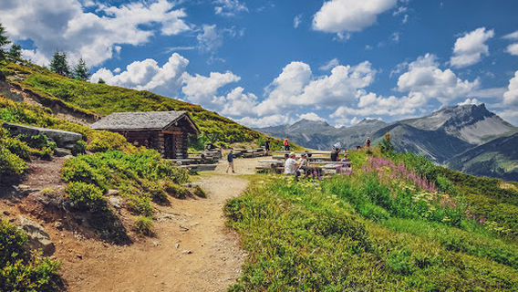 Camping, RinerLodge, Maxon Pavillon