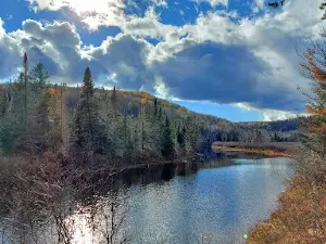Réserve faunique Mastigouche