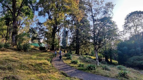 Jardín Botánico de Darjeeling