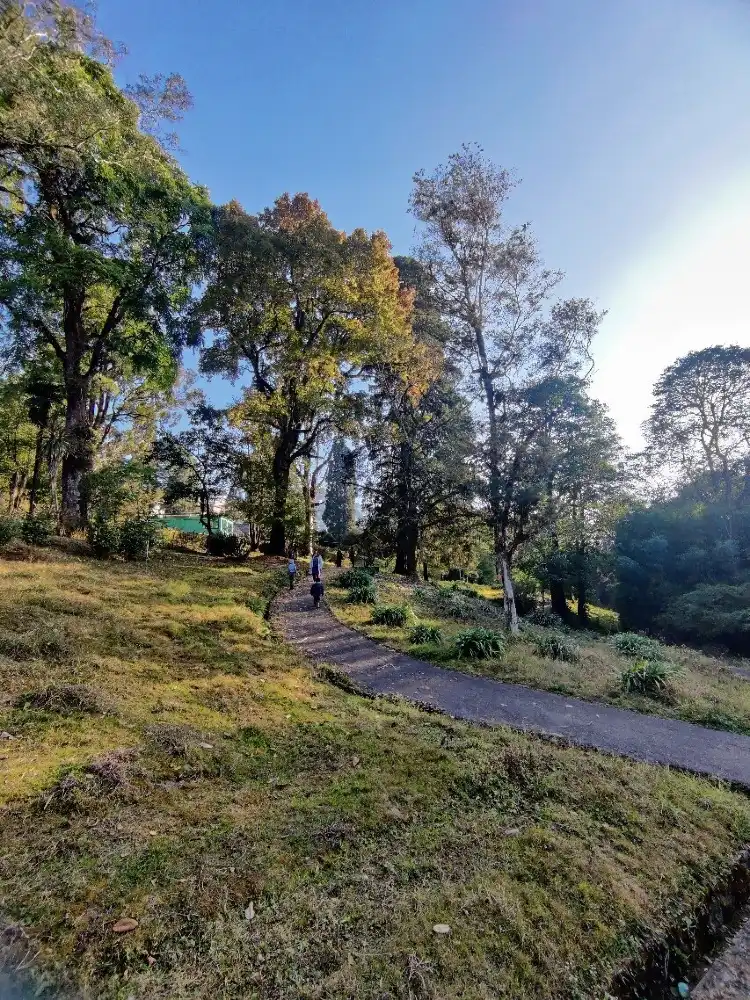 Hotels near Lloyd Botanical Garden