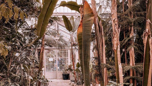 Jevremovac Botanical Garden