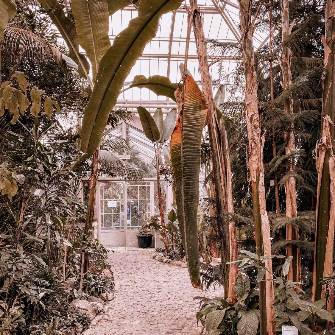 Hotel in zona Jevremovac Botanical Garden