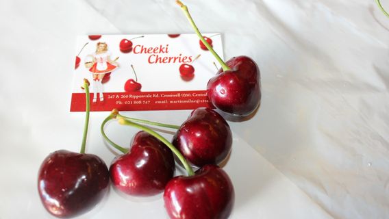 Cheeki Cherries - Dam Good Fruit PYO Cherries
