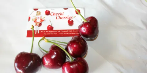 Cheeki櫻桃園