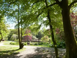Bryngarw Country Park