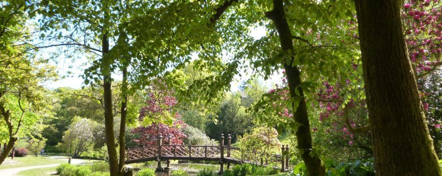Bryngarw Country Park