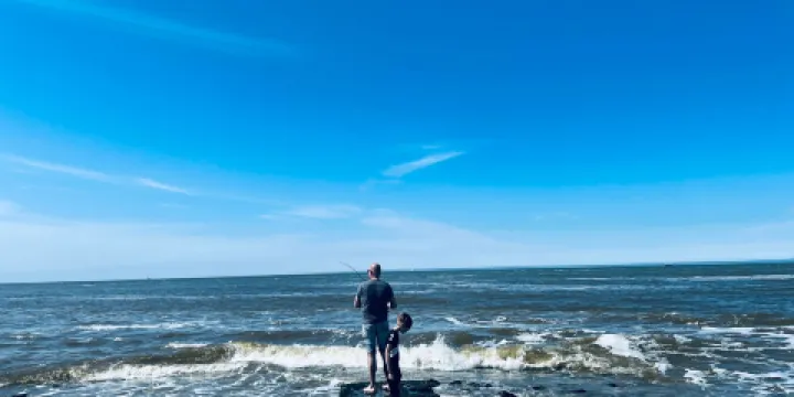 特塞爾沙丘國家公園