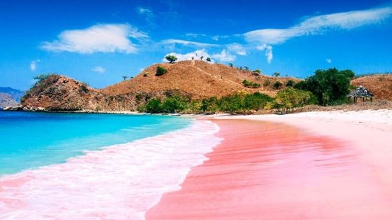Pink Beach