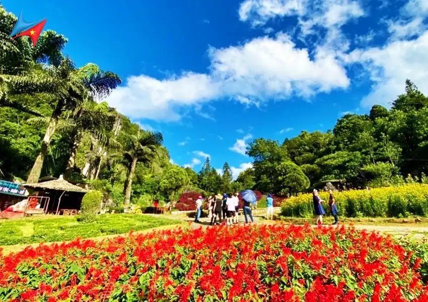 Hotels near Ham Rong Mountain, Sapa