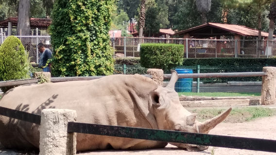 Parque Zoologico Benito Juarez