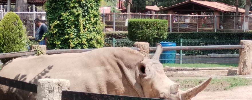Parque Zoologico Benito Juarez