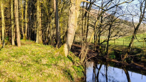 North York Moors National Park
