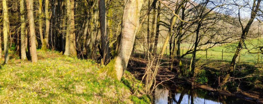 North York Moors National Park