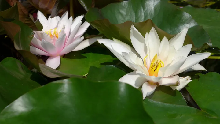 3_Улица Кузнецкий Мост