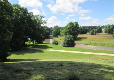 Łęknica