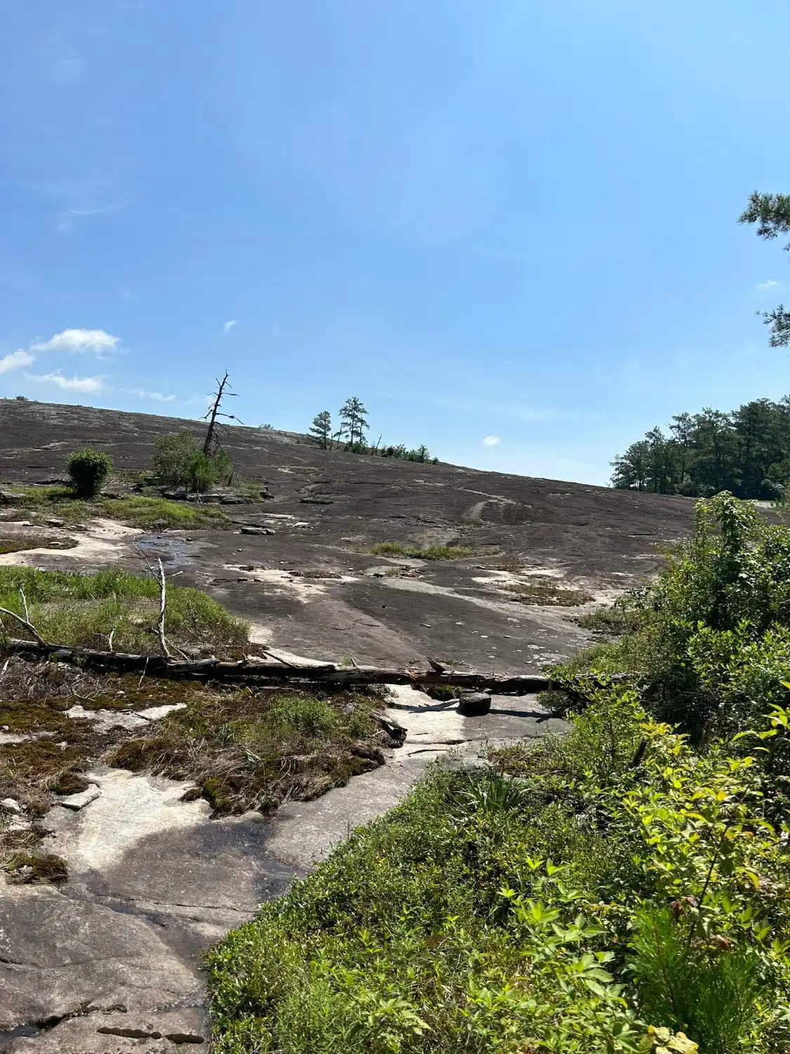 Hotels near Arabia Mountain
