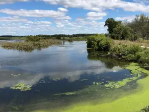 Shiawassee National Wildlife Refuge